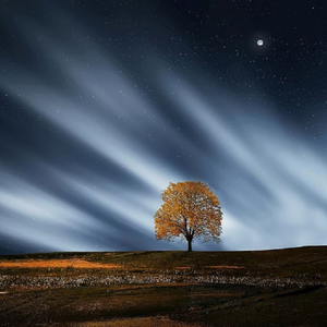 花容失色取花点下拉式漫画免费观看
